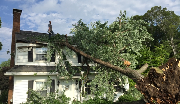 Above & Beyond Tree and Shrubbery Service - South Bend, IN. Storm damage (2016)