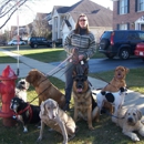 Dependable Pet Sitter - Pet Boarding & Kennels