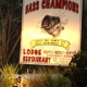 Bass Champions
