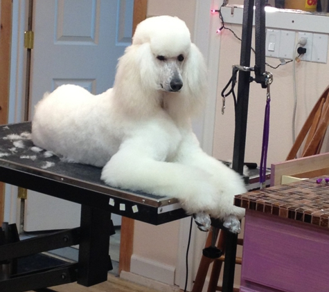 Tarma Grooming - Soldotna, AK