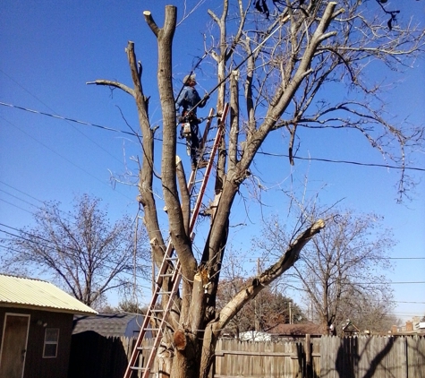 Quality Tree Care - Lubbock, TX