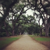 Rosedown Plantation State Historic Site gallery