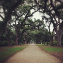 Rosedown Plantation State Historic Site - Places Of Interest