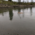 Milwaukie Riverfront Park