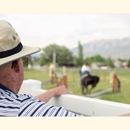 Beehive Homes Payson - Assisted Living Facilities
