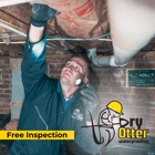 Dry Otter Waterproofing - Charlotte