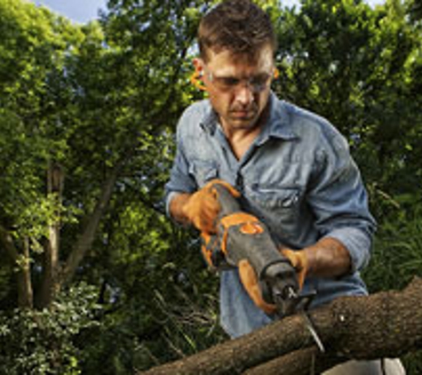 Kai's Affordable Tree Maintenance, LLC - Haleiwa, HI