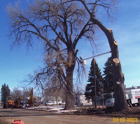 Pro Tree Service - Sioux Falls, SD
