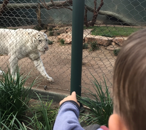 Siegfried & Roy Theater - Las Vegas, NV