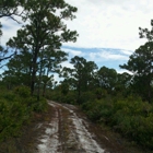 Seabranch Preserve State Park