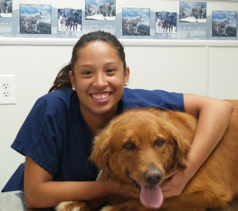 Floyd Harbor Animal Hospital - Shirley, NY