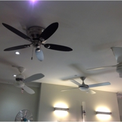 Gallery Image Number 6