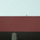 Nex Level Roofing - Roofing Contractors