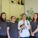 South Pointe Animal Hospital - Veterinary Clinics & Hospitals