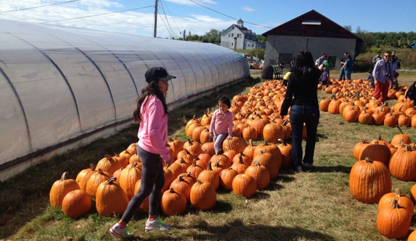 Stuart's Fruit Farm - Granite Springs, NY