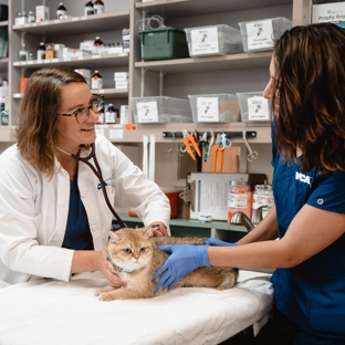 VCA Vets & Pets Animal Hospital - Santa Clara, CA