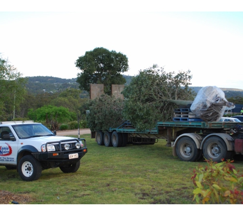 Total Tree Services - Mount Rascal, QLD