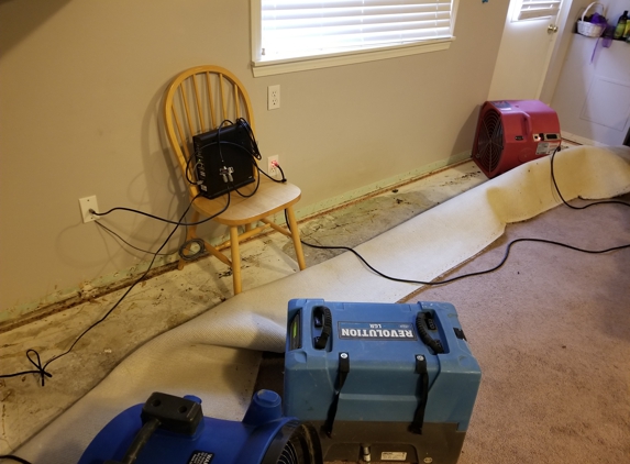 Roto-Rooter Plumbing & Water Cleanup - Lynnwood, WA. Carpets drying 