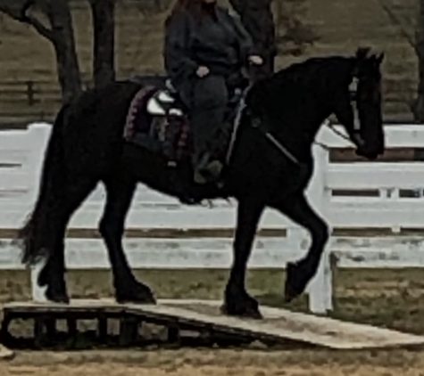 Brunson Equestrian Center - Tyler, TX