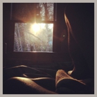 Rustic Dreams Bed and Breakfast