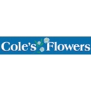 Cole's Flowers - Flowers, Plants & Trees-Silk, Dried, Etc.-Retail