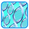 DNA Paternity Testing Centers