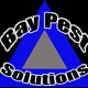 Bay Pest Solutions