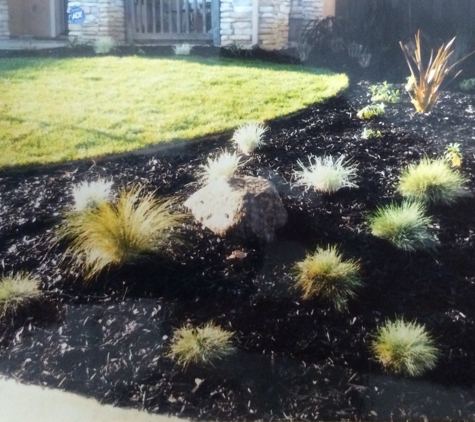 Peters Landscaping And Maintenance General Clean up or Maintenance - Bay Point, CA