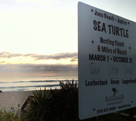 Loggerhead Marinelife Center - Juno Beach, FL