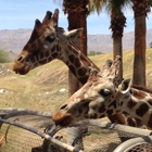 The Living Desert Zoo & Gardens