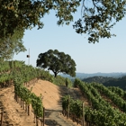 Shafer Vineyards