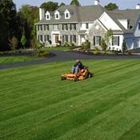 Evergreen Tree Xperts & Landscaping