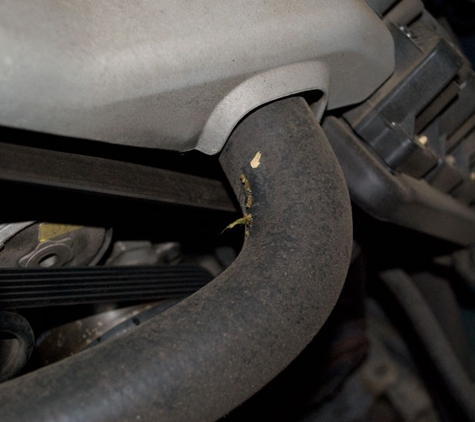 Alexandria Radiator Service - Beaconsfield, NSW. Radiator Hose Replacement for Holden Commodore