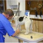 Cedarview Kennel Boarding & Grooming for Dogs and Cats