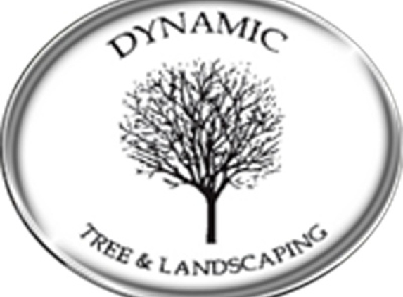 Dynamic Tree & Landscaping