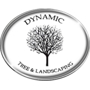 Dynamic Tree & Landscaping