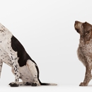 Rawls Veterinary Hospital - Veterinary Labs