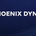 Phoenix Dynasty Group - Nour Mohsen Rezk