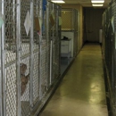 Animal Hospital Of Willow Street - Veterinarians