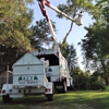 A.L.T. Tree Service gallery