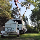 A.L.T. Tree Service