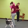 Adventure Unleashed Dog Training gallery