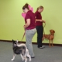 Adventure Unleashed Dog Training