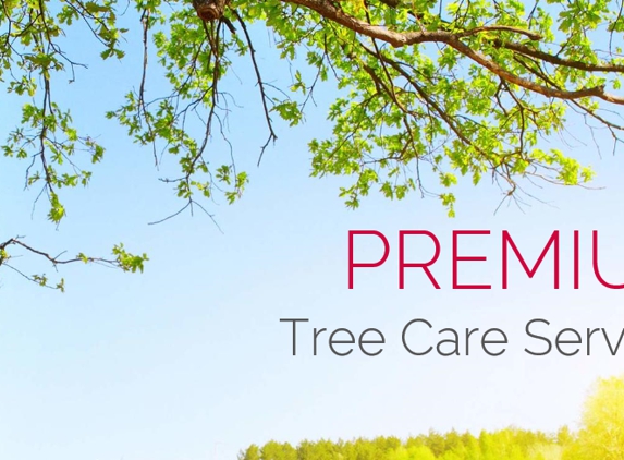 Braswell Tree Service - Saint Francisville, LA