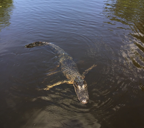 Ultimate Swamp Adventures - Westwego, LA