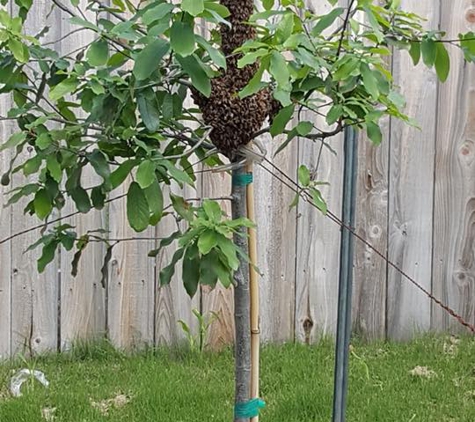 Jackass Honey Farms - Liberty Hill, TX