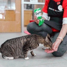 Atlanta Humane Society - Mansell Campus