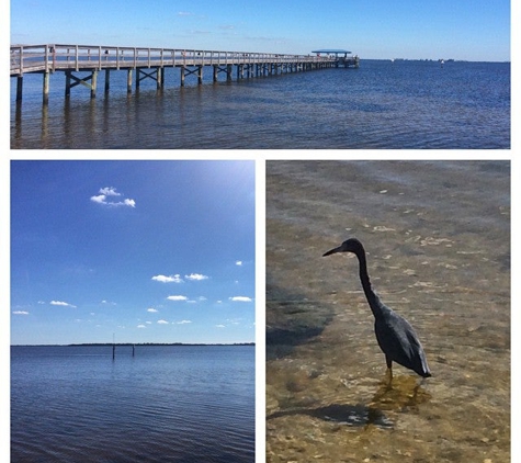 Safety Harbor Marina - Safety Harbor, FL