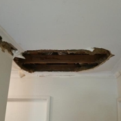 Gallery Image Number 2
