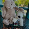 Dancing Bear Toys gallery